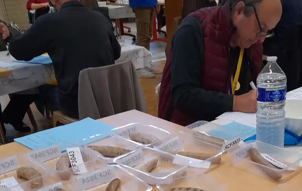 Le jury en pleine dégustation et notation des saucisses (C) Michel Pottier